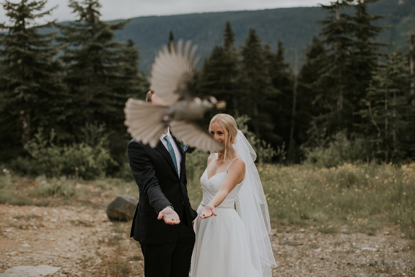 bride and group standing with hands out, while a bird flies in front of the camera